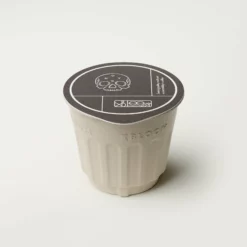 Southern Weather Whole Bean Xpod